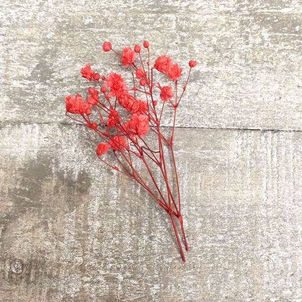 bomboniera cresima tisana